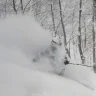 TheMajesticMoose