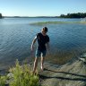 Viiktoorr