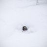 Japow