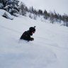 AndersBagarn