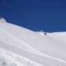 freeride81