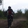Linnea_m
