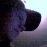 linus_archibald