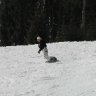 Elinor3