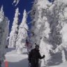 Eddietheeagle