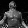 Hogan