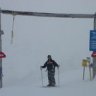 Nordica