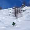 Kotten_Charlot