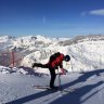 mansbjorn