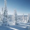 SnowMan92