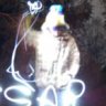 Assar90