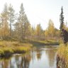 jVitblom