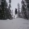 Skifreak