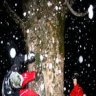 Powderaction