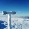 snow_poets