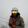 Anis