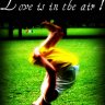 lovelarson