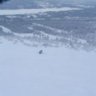 downhillkrille