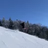 ArosAros