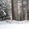JDahlstroem