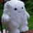 yeti