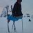 filip_michols