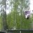 Petterjornlind