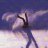 Martin_G