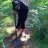nsRicke