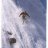 Anders_Norin