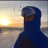 Falcken