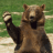 FooBear