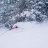 Backcountrybob