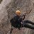 Petzl