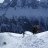 Snowpatrol