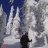 Eddietheeagle