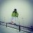 max_L