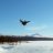 ab_rider77