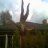 Ds_danne