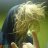 Davidsson89