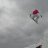 Rapee