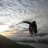 P_Bergstrand