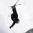 aceofswe