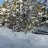 Vinter-Paul