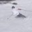 Eirik_Frette