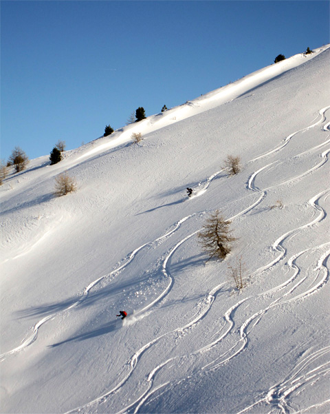 ski_fr.jpg