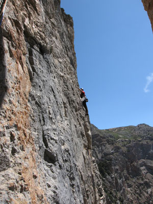tete09.jpg