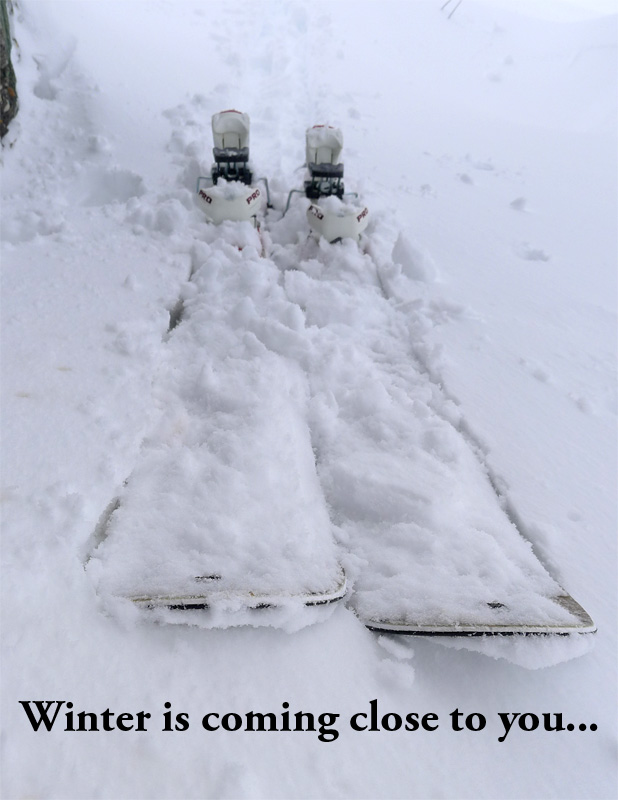 winter.jpg
