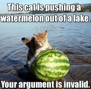 argument-invalid.jpg