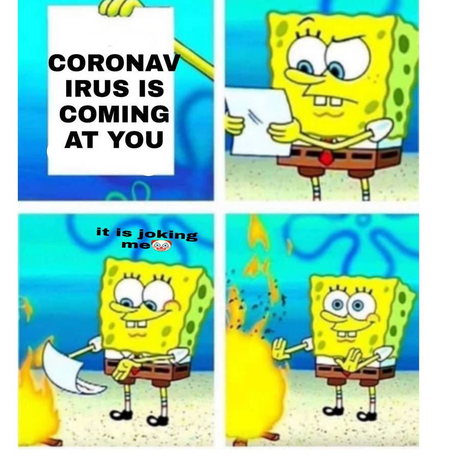 pdmn4.jpg